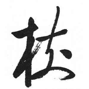启功·树