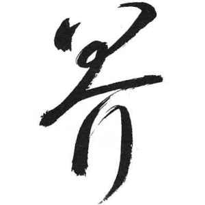启功·界