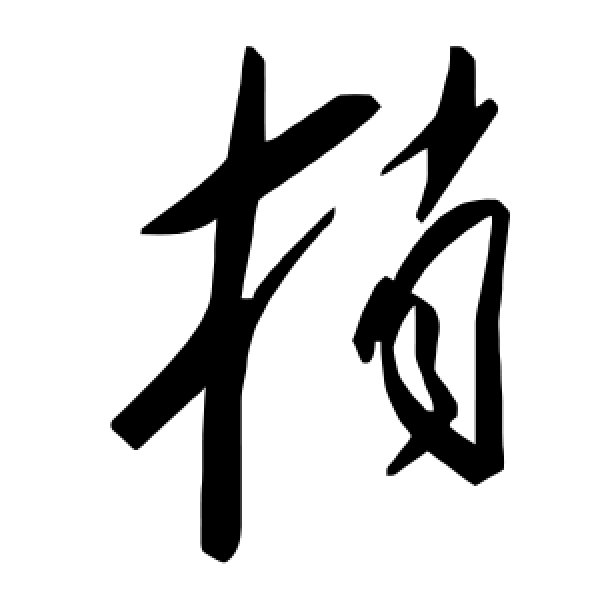 毛泽东·捎