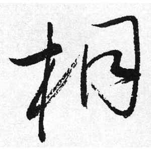 启功·桐
