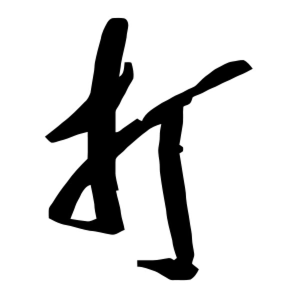 毛泽东·打