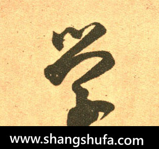 学毛笔字草书