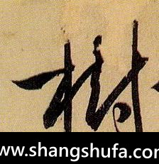 树毛笔字草书