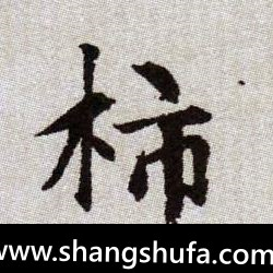 柿毛笔字楷书