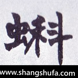 蝌毛笔字楷书
