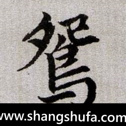 鸳毛笔字楷书