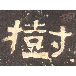 张迁碑·树