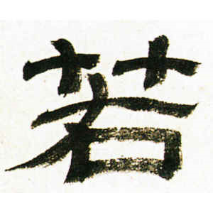 金农·若