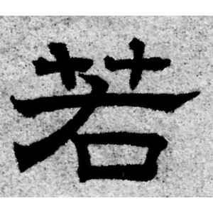 赵孟頫·若