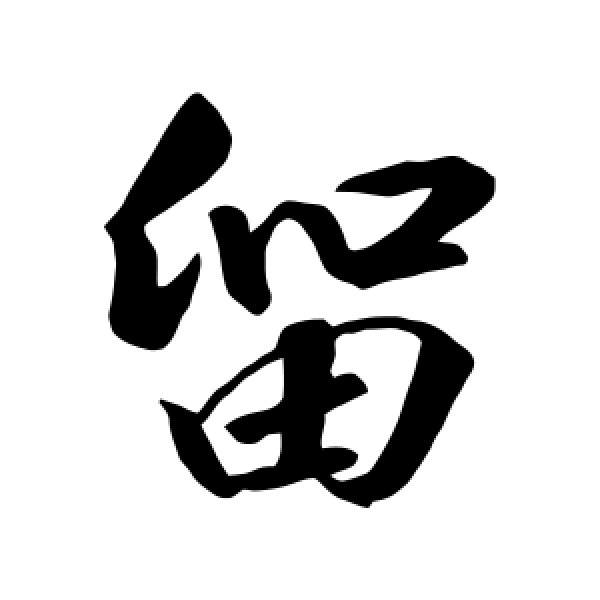 赵构·留
