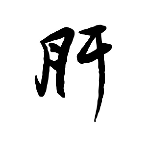 近人·肝