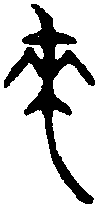 齐 侯 