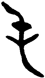 邢叔钟 