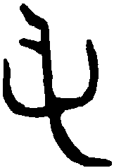多父盘 