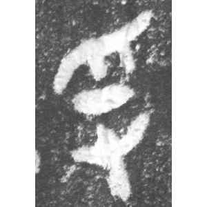 (冬戈)簋·乎