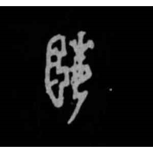 殷墟甲骨文·姬