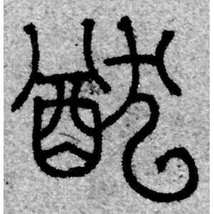 赵孟頫·猷
