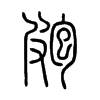 皰